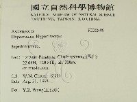 登錄號:F0002496藏品圖，第2張