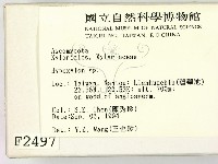 登錄號:F0002497藏品圖，第2張