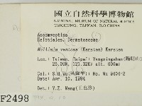 登錄號:F0002498藏品圖，第2張