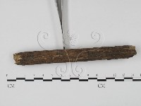 登錄號:F0002498藏品圖，第1張