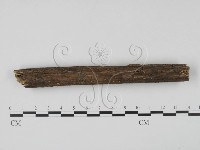 登錄號:F0002498藏品圖，第3張