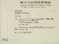 炭角菌屬藏品圖，第2張