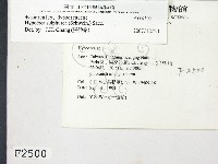 登錄號:F0002500藏品圖，第2張