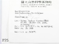 登錄號:F0002502藏品圖，第2張