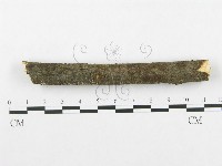 登錄號:F0002502藏品圖，第1張