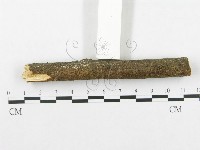 登錄號:F0002502藏品圖，第3張