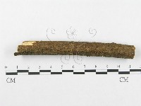 登錄號:F0002502藏品圖，第4張