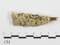登錄號:F0002503藏品圖，第1張