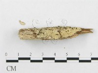 登錄號:F0002503藏品圖，第3張