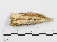 登錄號:F0002503藏品圖，第4張