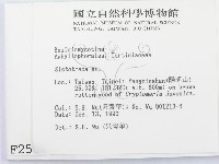 登錄號:F0002504藏品圖，第2張