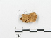 登錄號:F0002504藏品圖，第3張