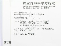 登錄號:F0002505藏品圖，第2張