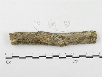 登錄號:F0002506藏品圖，第1張