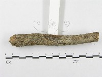 登錄號:F0002506藏品圖，第3張