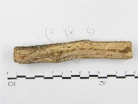 登錄號:F0002506藏品圖，第4張