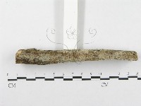 登錄號:F0002506藏品圖，第5張