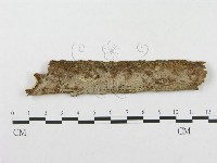 登錄號:F0002507藏品圖，第1張