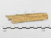 登錄號:F0002507藏品圖，第3張