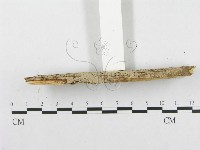 登錄號:F0002507藏品圖，第4張