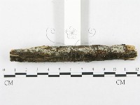 登錄號:F0002508藏品圖，第4張