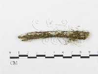 登錄號:F0002509藏品圖，第1張