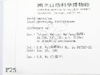 登錄號:F0002510藏品圖，第2張