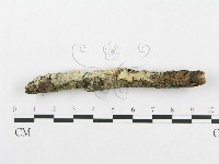 登錄號:F0002510藏品圖，第3張