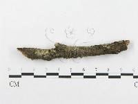 登錄號:F0002510藏品圖，第4張