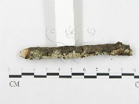 登錄號:F0002510藏品圖，第5張
