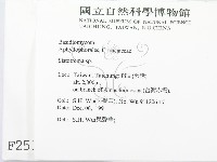 登錄號:F0002511藏品圖，第2張