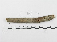 登錄號:F0002511藏品圖，第1張
