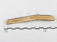 登錄號:F0002511藏品圖，第3張