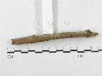 登錄號:F0002511藏品圖，第4張