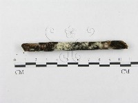 登錄號:F0002512藏品圖，第3張