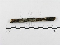 登錄號:F0002512藏品圖，第5張