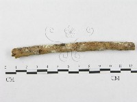 登錄號:F0002513藏品圖，第1張