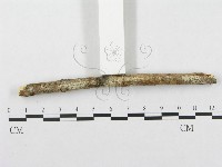 登錄號:F0002513藏品圖，第3張