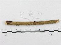 登錄號:F0002513藏品圖，第4張