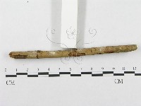 登錄號:F0002513藏品圖，第5張