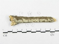 登錄號:F0002514藏品圖，第1張