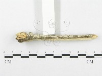 登錄號:F0002514藏品圖，第3張