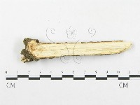 登錄號:F0002514藏品圖，第4張