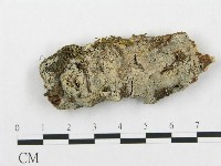 登錄號:F0002515藏品圖，第1張