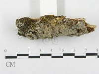 登錄號:F0002515藏品圖，第3張