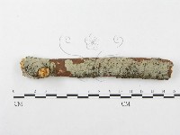 登錄號:F0002516藏品圖，第1張