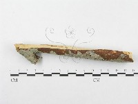 登錄號:F0002516藏品圖，第3張