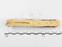 登錄號:F0002516藏品圖，第4張