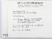 登錄號:F0002517藏品圖，第2張