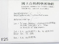 登錄號:F0002518藏品圖，第2張